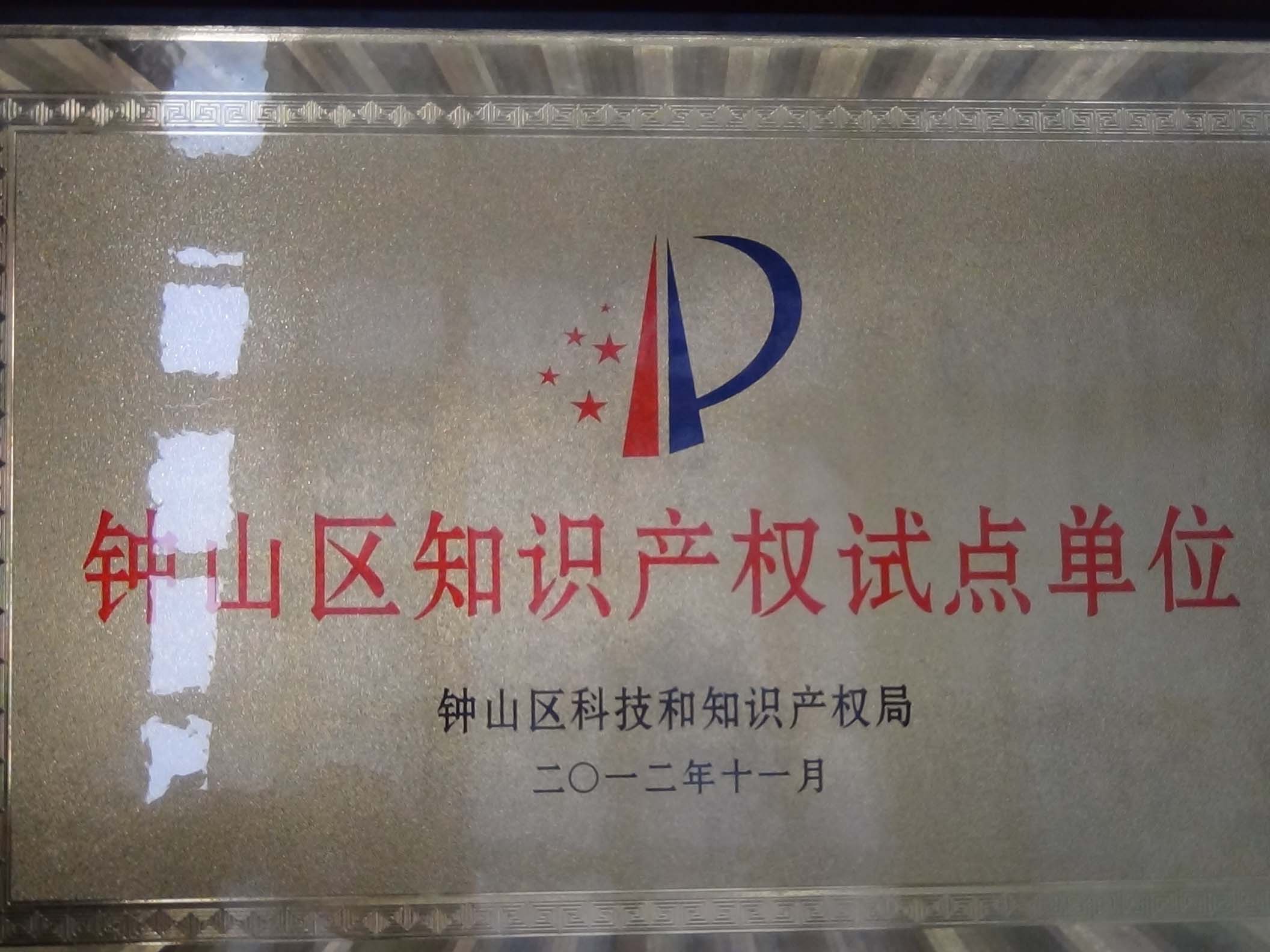 鐘山區知識產(chǎn)權試點(diǎn)