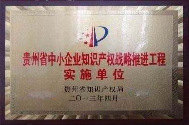 省知識產(chǎn)權戰略推進(jìn)工程實(shí)施單位